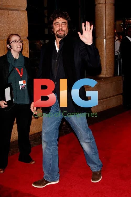 Benicio del Toro at 'Miral' Premiere