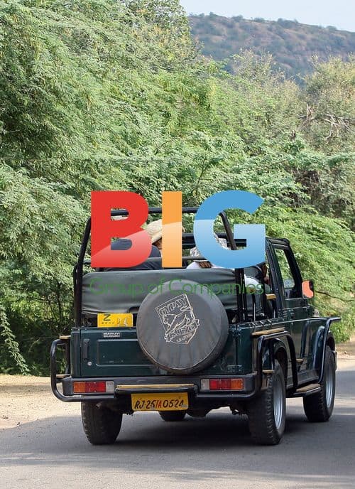 Russell Brand and Katy Perry Wedding Guests Safari Tour