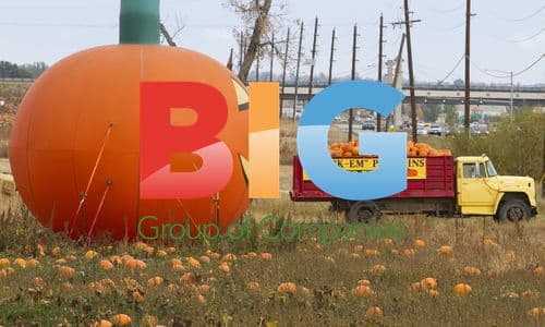 Kids at Rock Creek Pumpkin Patch