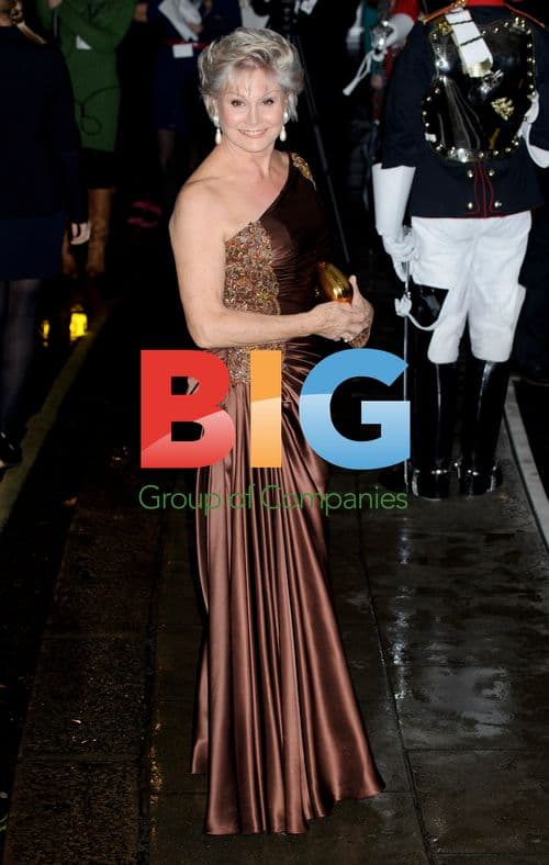 Angela Rippon at Fashion For the Brave event