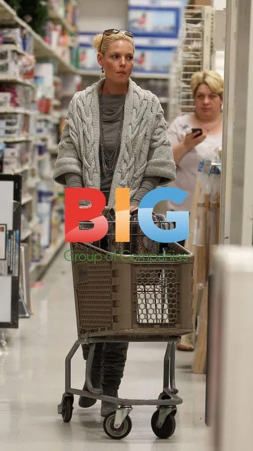 Katherine Heigl shopping at Michael's