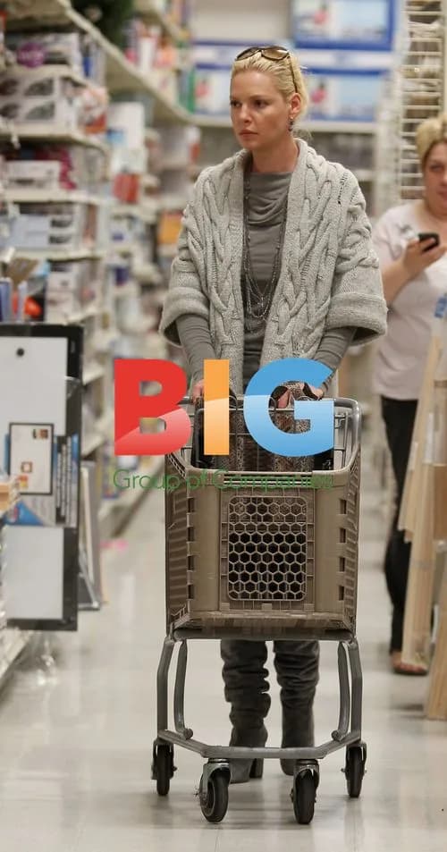 Katherine Heigl Shopping at Michael's Arts and Crafts