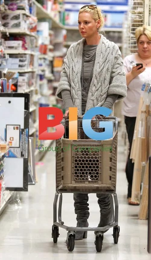 Katherine Heigl goes shopping at Michaels