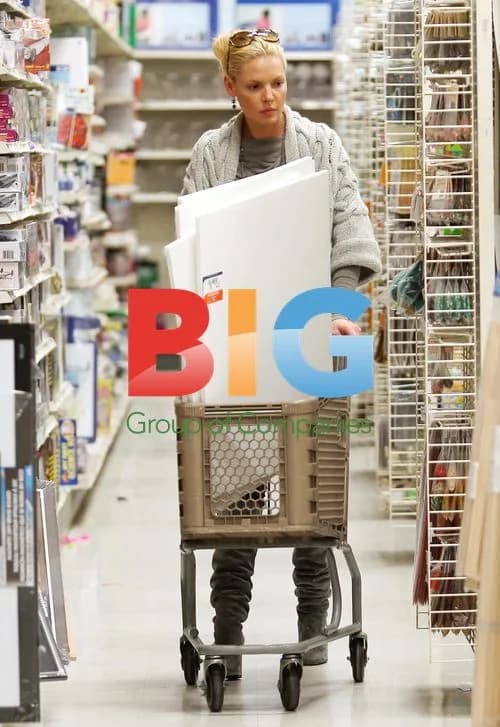Katherine Heigl Shopping