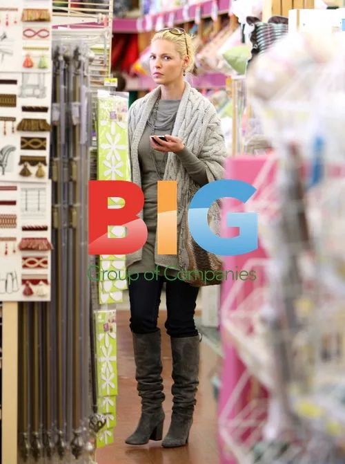 Katherine Heigl Shopping Supplies