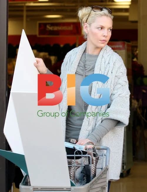 Katherine Heigl shopping at Michaels