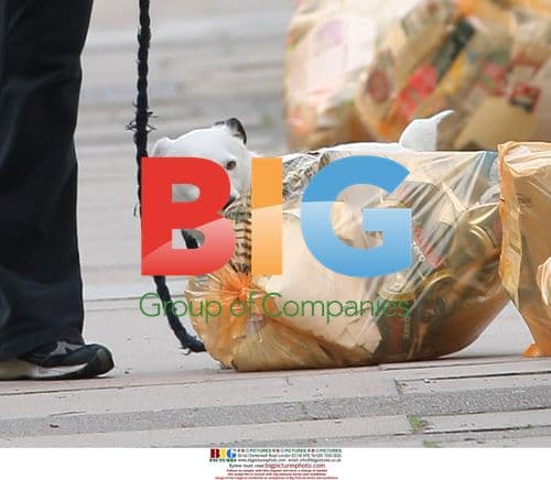 Billie Piper Walks Dog & Talks on Phone