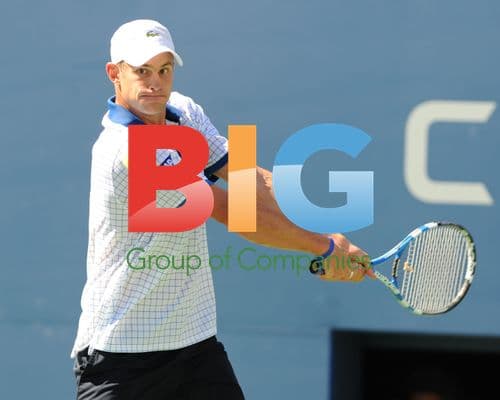 Andy Roddick at US Open 2010