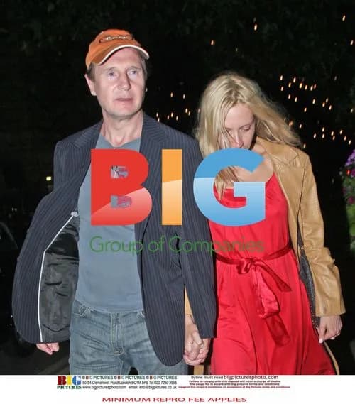 Liam Neeson Spotted with New Love Interest