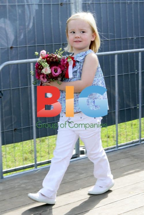 Dutch Queen Beatrix and Princesses Visit Carriage Driving Event