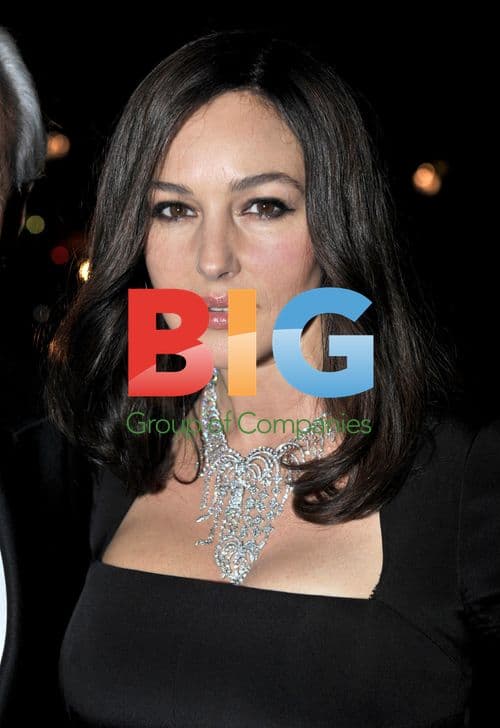 Monica Belluci at Antiques Fair Dinner