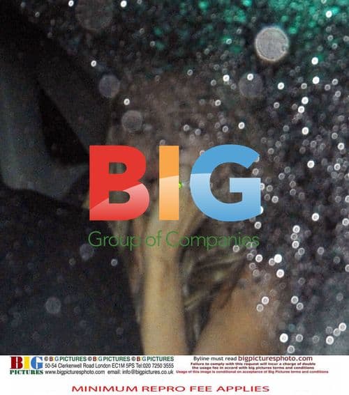 Footballer Peter Crouch and model Abigail Clancy