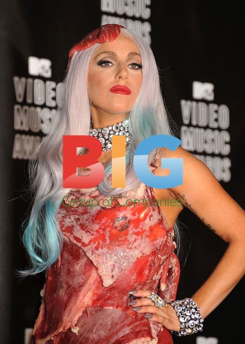 Lady Gaga at 2010 MTV VMAs Press Room