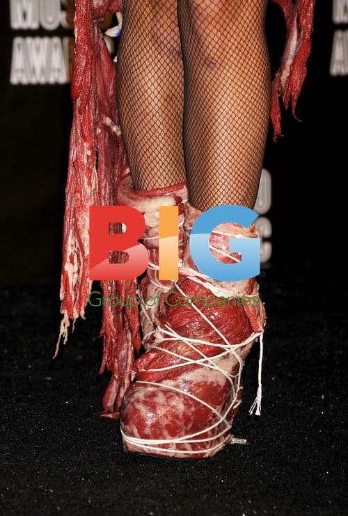 Lady Gaga at 2010 MTV VMAs