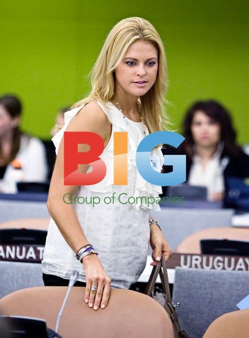 Princess Madeleine of Sweden at UN Democracy Caucus