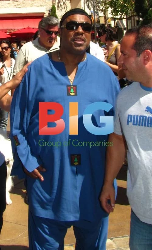 Stevie Wonder Greets Fans at The Grove