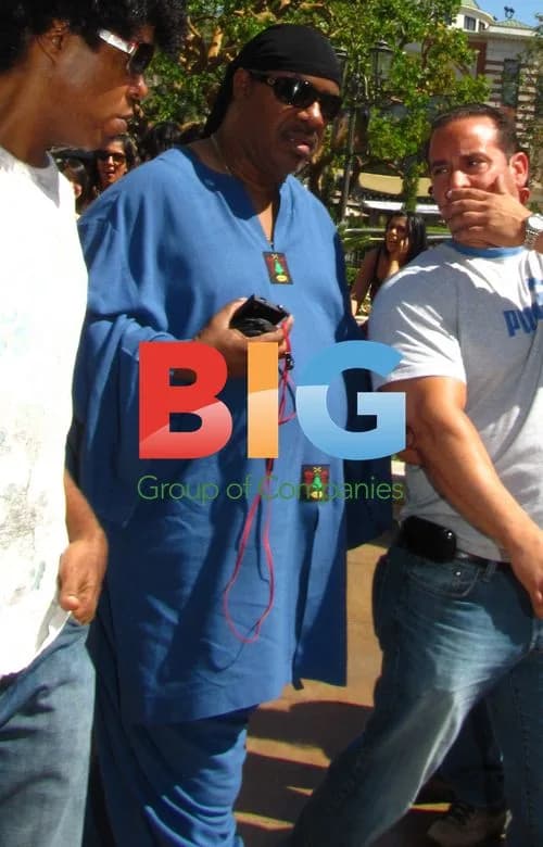 Singer Stevie Wonder at The Grove