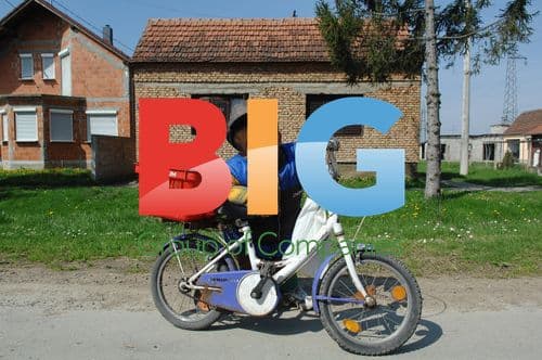 Smallest Croatian Man Zeljko Biskic