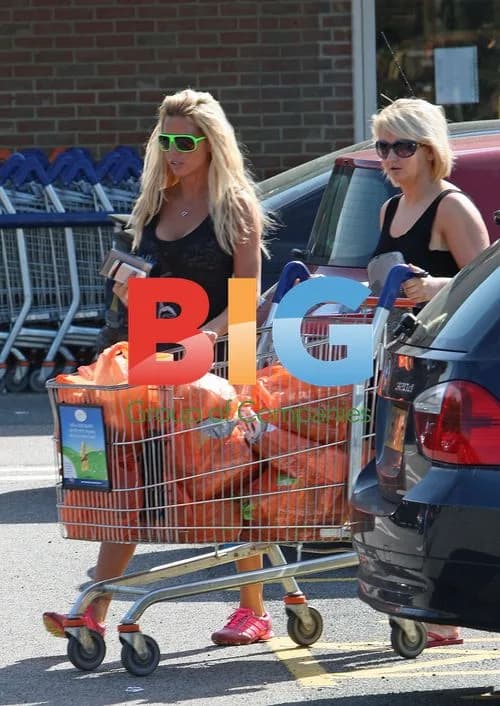 Katie Price Shopping