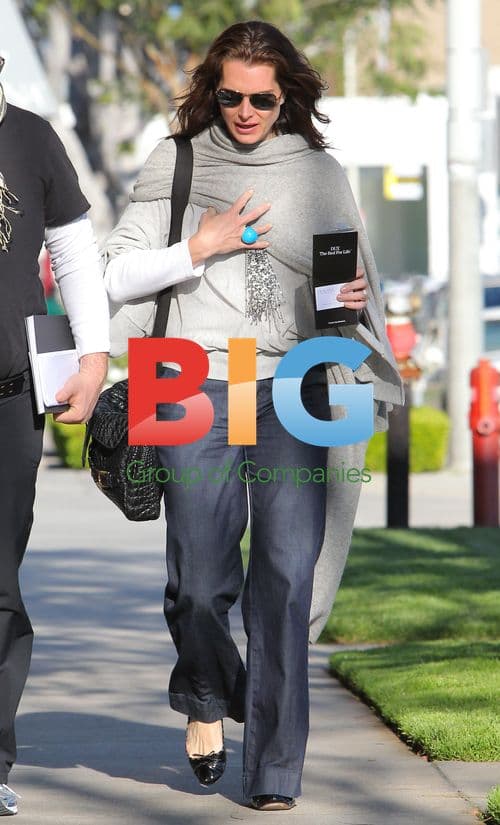 Brooke Shields Out with Friend in Santa Monica