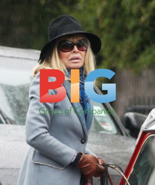 Brit Ekland Evades Parking Fees