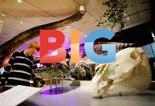 Dinosaur Skulls Comparison Exhibit