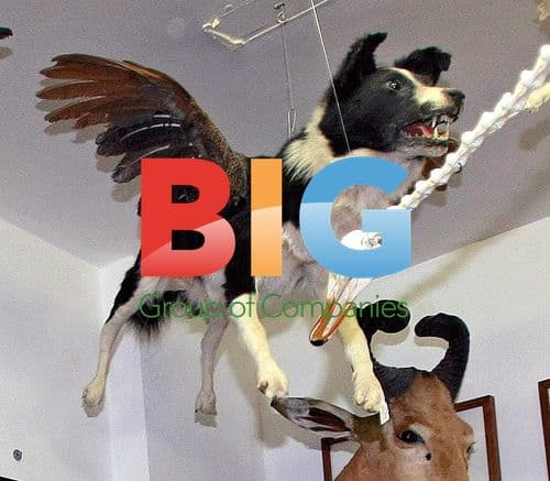 Royals Buy Bizarre Wedding Gifts