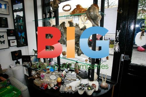 The Last Tuesday Society Shop Gifts for Royal Couple