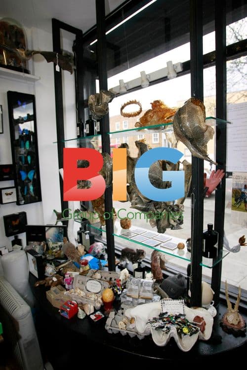 Royal Couple Wedding Gifts at 'Last Tuesday Society'