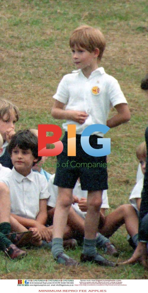 Prince Harry's 7th Birthday Party