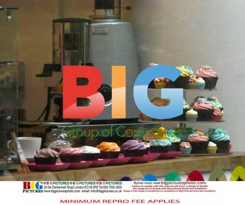 Tina O'Brien's Daughter Cupcake Outing