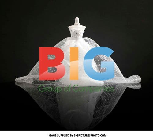 Designer Creates Kate Middleton Wedding Dress Prediction