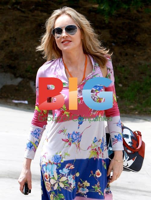 Sharon Stone in Colorful Dress and Obama Bag