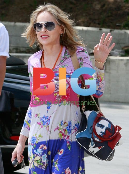 Sharon Stone in Colorful Dress and Obama Bag