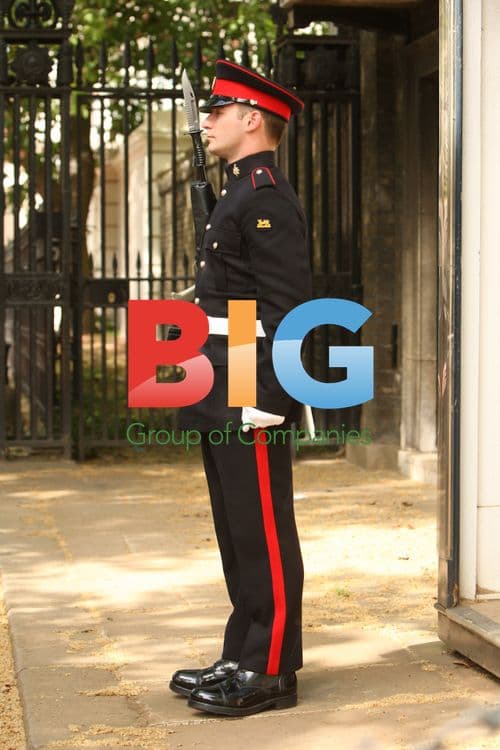 Changing of the Guards at Clarence House