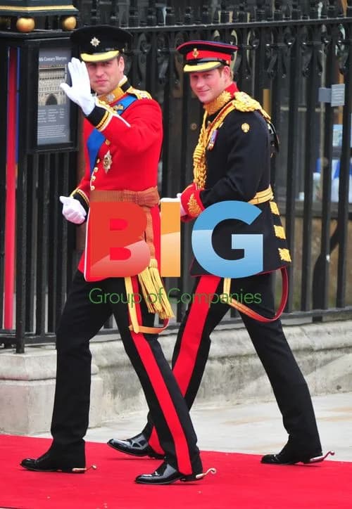 Prince William and Prince Henry Arrive for Royal Wedding