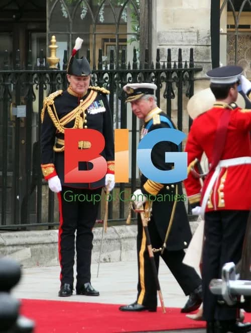 Royal Wedding Arrival