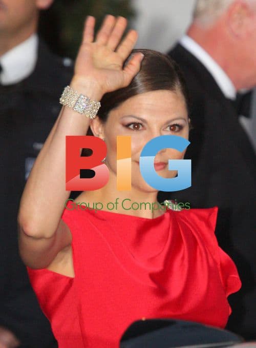 Prince Daniel and Crown Princess Victoria at Pre-wedding Gala