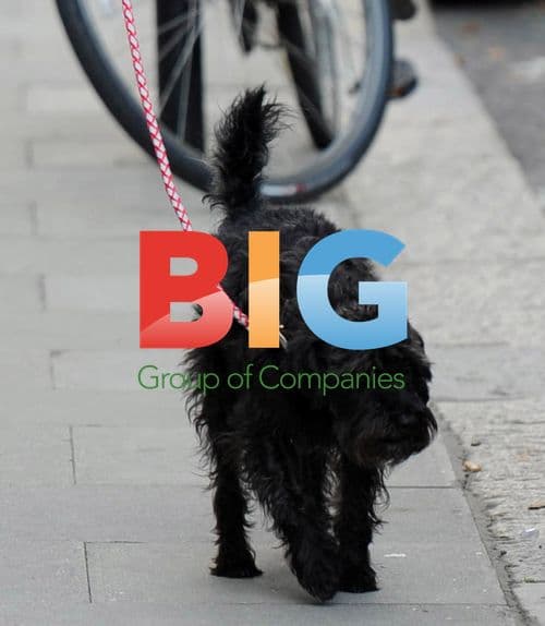 Mary Portas Out with Dog and Friend