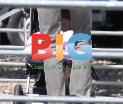 Abigail Clancy's Family Outing