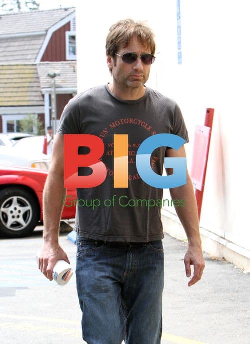 David Duchovny at Country Mart