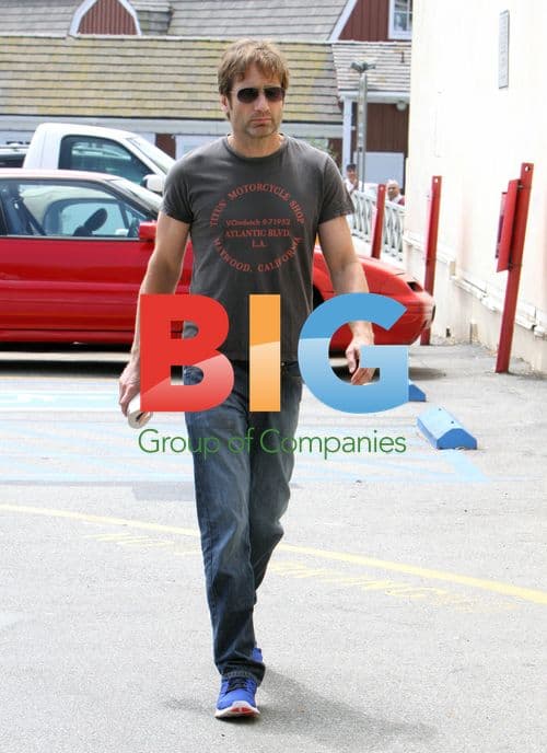 David Duchovny at Country Mart in Brentwood