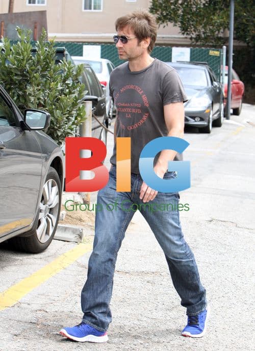 David Duchovny Shopping in Brentwood