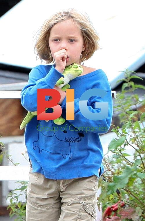 Angelina Jolie & Brad Pitt Family Outing