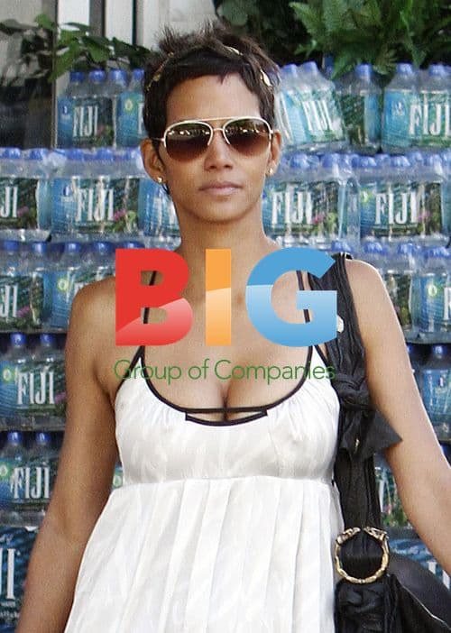 Halle Berry Shopping In Los Angeles