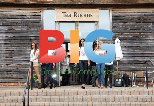 The Saturdays Launch Nintendog Games