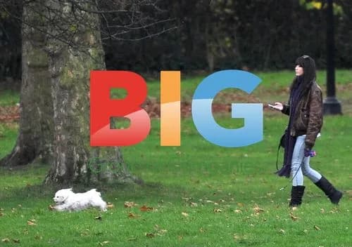 Daisy Lowe walking dog in park