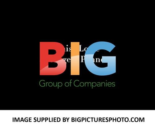 Daisy Lowe Wishes Merry Xmas