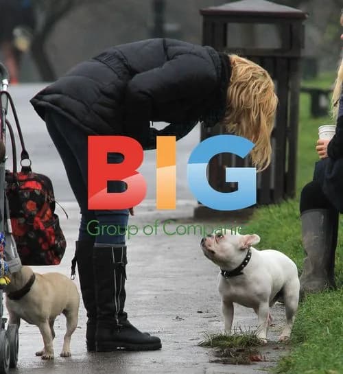Sarah Harding walking dogs with friends