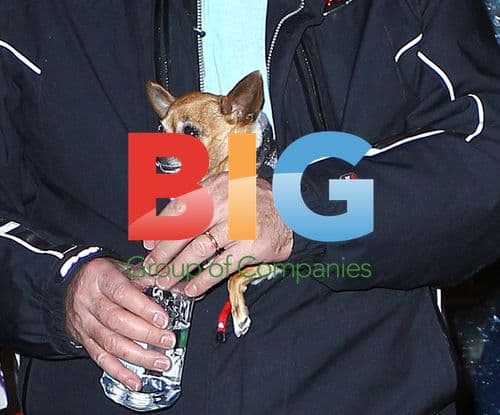 The Hilton Family in Aspen